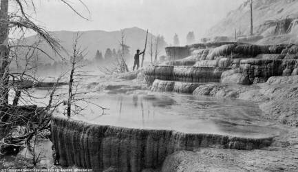 Mammoth Hot Springs dans le parc national de Yellowstone (William Henry Jackson) - Muzeo.com