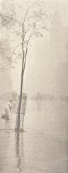 Douche de printemps à New York (Alfred Stieglitz) - Muzeo.com