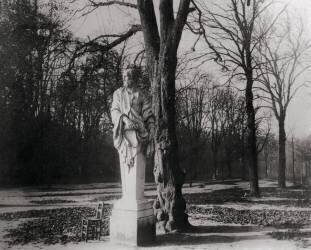 Statue, Jardin des Tuileries, Paris (Eugène Atget) - Muzeo.com