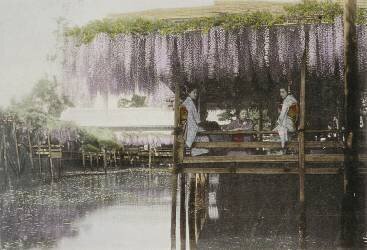 Sous la tonnelle de glycine (anonyme) - Muzeo.com