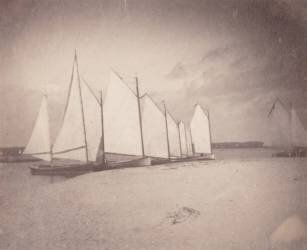 Voiliers sur les rives du New Jersey (Thomas Eakins) - Muzeo.com