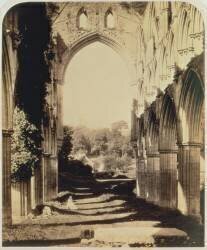 Abbaye de Rievaulx, Yorkshire du Nord (Roger Fenton) - Muzeo.com