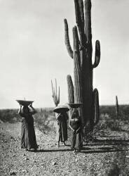 Indiennes Maricopas (Edward S. Curtis) - Muzeo.com