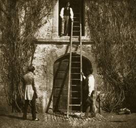 L'échelle (William Henry Fox Talbot) - Muzeo.com