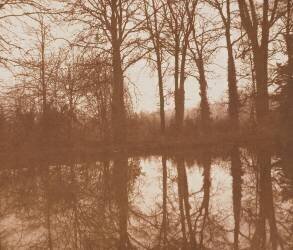 Reflections (William Henry Fox Talbot) - Muzeo.com