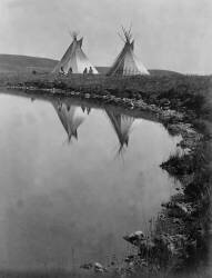 Tipis des Indiens Piegan, vers 1910 (Edward S. Curtis) - Muzeo.com