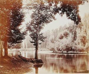Vue sur le Canal du Dhul, Cachemire (Samuel Bourne) - Muzeo.com