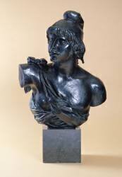 Bust of Paris with a Beard (Auguste Renoir) - Muzeo.com