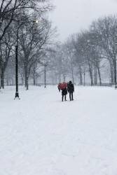Central Park Winter Lovers (Guilherme Pontes) - Muzeo.com