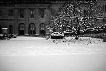 Frick Collection Hiver Nº2 (Guilherme Pontes) - Muzeo.com