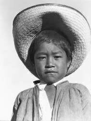 Son of a Campesino (Tina Modotti) - Muzeo.com