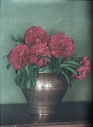 Vase en cuivre et pivoines (anonyme) - Muzeo.com
