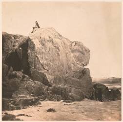 Victor Hugo sur le rocher des Proscrits (Charles Hugo) - Muzeo.com