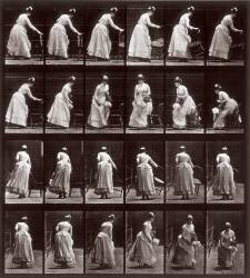Animal Locomotion : séquence with a woman sitting down (Eadweard Muybridge) - Muzeo.com