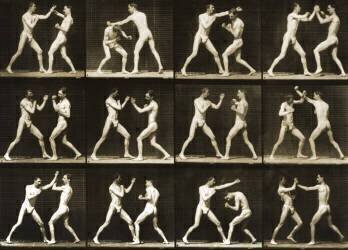 Animal Locomotion : Two men boxing (Eadweard Muybridge) - Muzeo.com