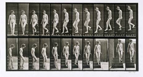 Animal Locomotion : Woman descending the steps (Eadweard Muybridge) - Muzeo.com