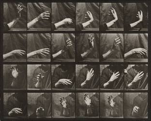 Movement of the hand ; beating time (Eadweard Muybridge) - Muzeo.com