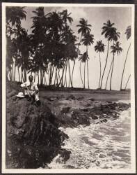 Plage de Cayenne (anonymous) - Muzeo.com