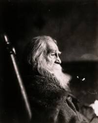 Portrait of Walt Whitman (Thomas Eakins) - Muzeo.com
