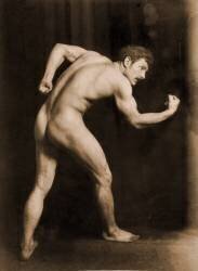 Study of a male nude (Wilhelm von Gloeden) - Muzeo.com