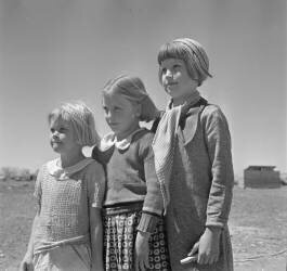 Daughters of resettled farmers (Dorothea Lange) - Muzeo.com