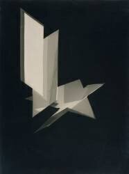 Photogramme sans titre (Laszlo Moholy-Nagy) - Muzeo.com