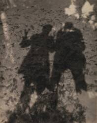 Shadows in Lake (Alfred Stieglitz) - Muzeo.com