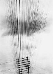 Telephone Wires, Mexico (Tina Modotti) - Muzeo.com