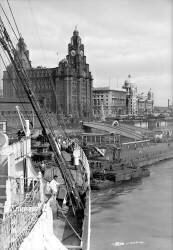 The Royal Liver Building at Liverpool (anonymous) - Muzeo.com