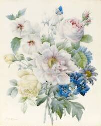A Bunch of Flowers including a Peony (Pierre Joseph Redouté) - Muzeo.com