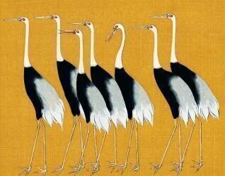 A traditional portrait of a flock of beautiful Japanese red crown crane (Ogata Korin) - Muzeo.com