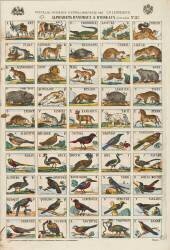 Alphabets d'animaux et d'oiseaux (anonymous) - Muzeo.com