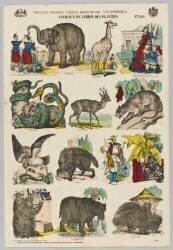 Animaux du jardin des Plantes (anonymous) - Muzeo.com