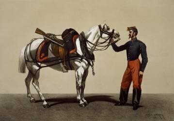 Armée de ligne. Train des équipages. Cheval de trait et soldat en veste (Charles-Edouard...) - Muzeo.com