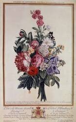 Bouquet of flowers melange (Pierre-Joseph Buchoz) - Muzeo.com