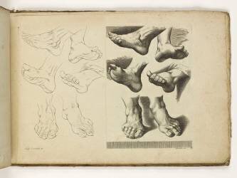 Carnet de 30 gravures. Etude de pieds (Famille des Poilly) - Muzeo.com