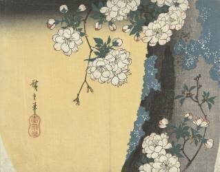 Cherry blossom by tree trunk (Hiroshige) - Muzeo.com
