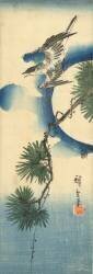 Cuckoo by pine branch and full moon (Hiroshige) - Muzeo.com
