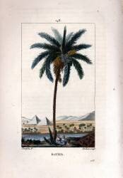 Datier (Pierre Jean Francois Turpin) - Muzeo.com