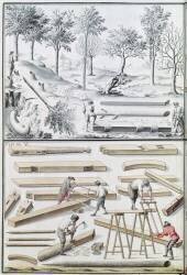 Different species of tree and sawing logs, from 'Traite de Fortifications' (Claude Masse) - Muzeo.com