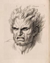 Expression des Passions de l'âme : le Désespoir (Jean Audran) - Muzeo.com