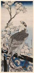 Falcon and plum blossoms (Hokusai) - Muzeo.com