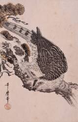 Falcon on a pine branch (Kitagawa Utamaro) - Muzeo.com