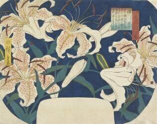Gift : Spotted Lilies (Hiroshige) - Muzeo.com