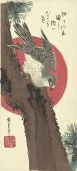 Hawk on pine tree (Hiroshige) - Muzeo.com