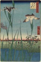 Iris Garden at Horikiri, Mai 1857 (Hiroshige) - Muzeo.com