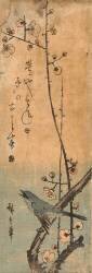 Japanese bush singer on plum branch, with haiku (Hiroshige) - Muzeo.com