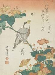 Japanese Grosbeak and Four-o'cloks (Hokusai) - Muzeo.com