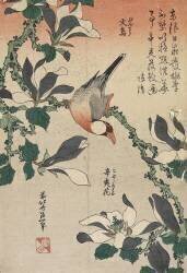 Java Sparrow and Magnolia (Hokusai) - Muzeo.com