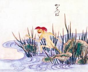 Kappa (Sawaki Sushi) - Muzeo.com